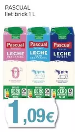 Pascual - Llet Brick