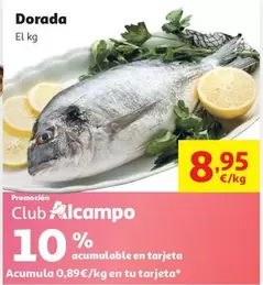 Dorada