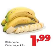 Platano De Canarias