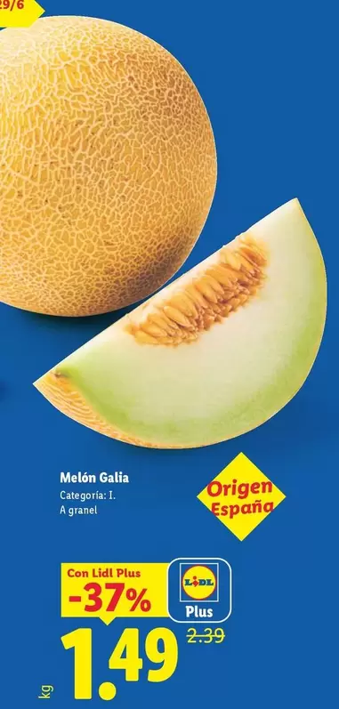 Melon Gallia
