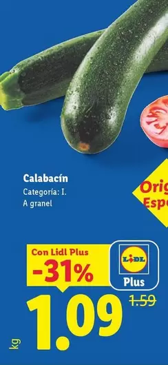 Calabacin