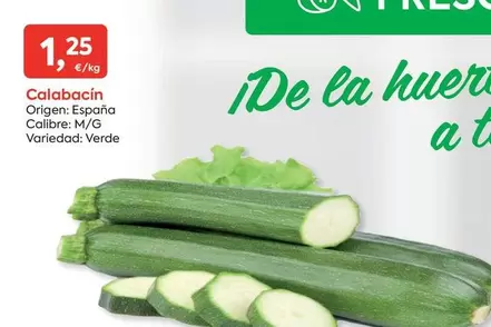 origen - Calabacin