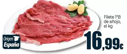 Filete 1aB De Anojo
