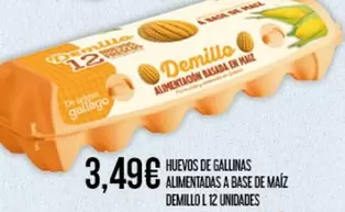 Gallego - Huevos De Gallinas Alimentadas A Base De Maiz Demillo