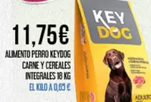 Alimento Perro Carne Y Cereales Integrales