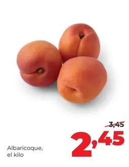 Alimerka - Albaricoque