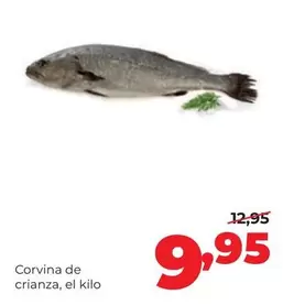 Alimerka - Corvina De Crianza