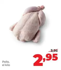 Pollo