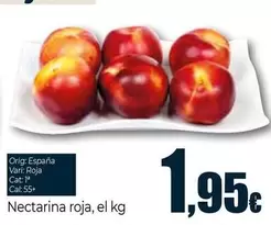Nectarina Roja