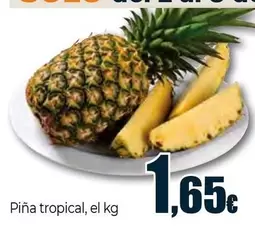 Piña Tropical