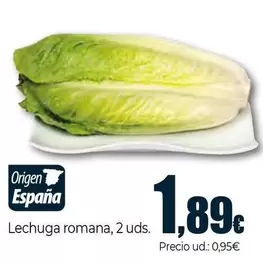 Lechuga Romana 