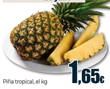 Piña Tropical