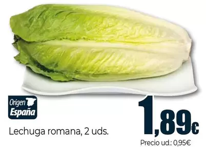 Lechuga Romana