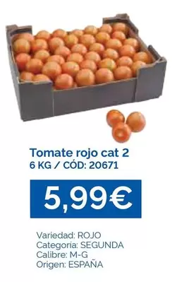 Tomate Rojo Cat 2