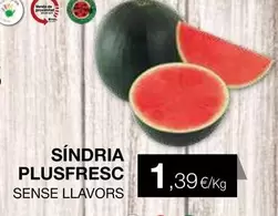 Síndria Plusfresc