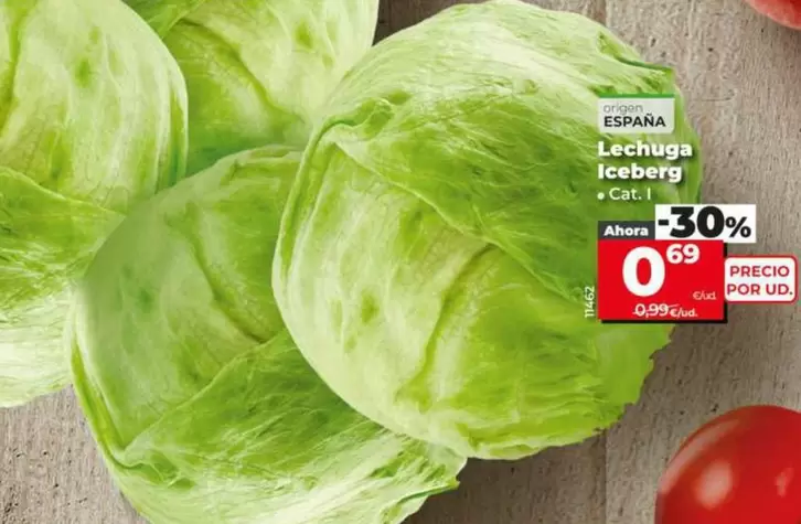 Lechuga Iceberg