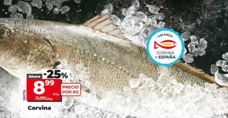Corvina