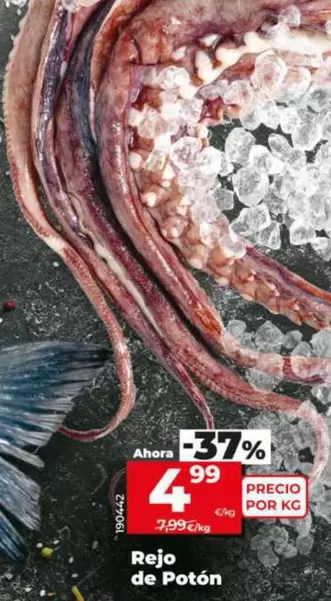 Rejo De Poton