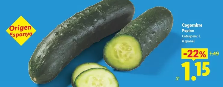 Cogembre Pepino