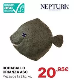 Rodaballo Crianza Asc