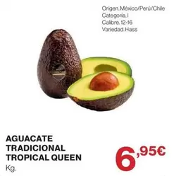Tropical - Aguacate Tradicional Queen