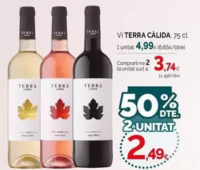 Terras Gauda - Vi