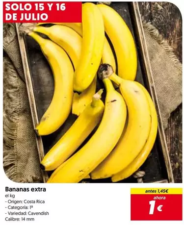 Solo - Bananas Extra