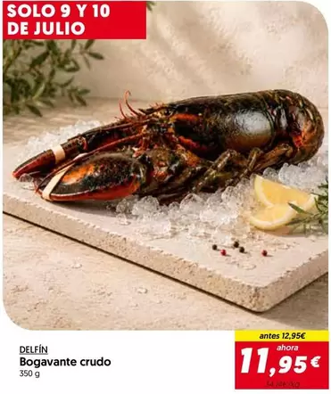 Delfín - Bogavante Crudo