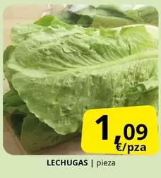 Lechugas