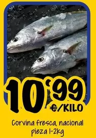 Corvina Fresca, Nacional Pieza