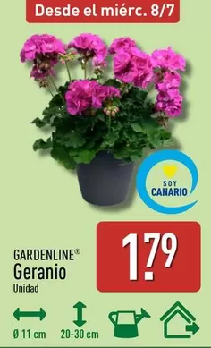 Gardenline - Geranio