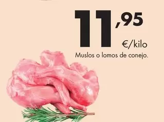 Muslos O Lomos De Conejo