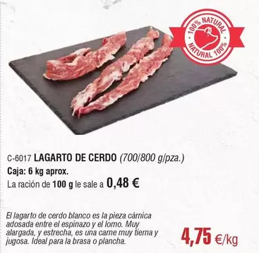 Lagarto -  De Cerdo