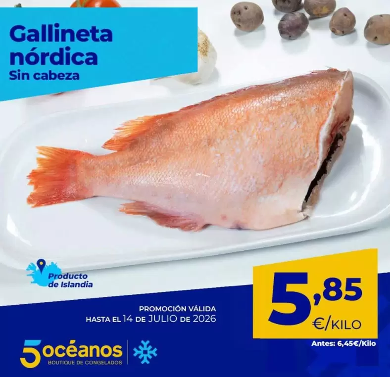 Gallineta Nordica