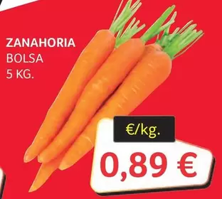 Zanahoria