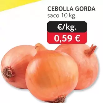 Cebolla Gorda