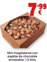 Mini Magdalenas Con Pepitas De Chocolate Envasadas