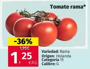 Tomate Rama