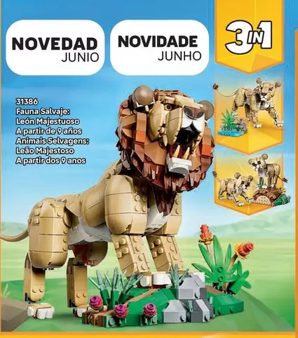 Salvaje - Livro Nvidado Junior