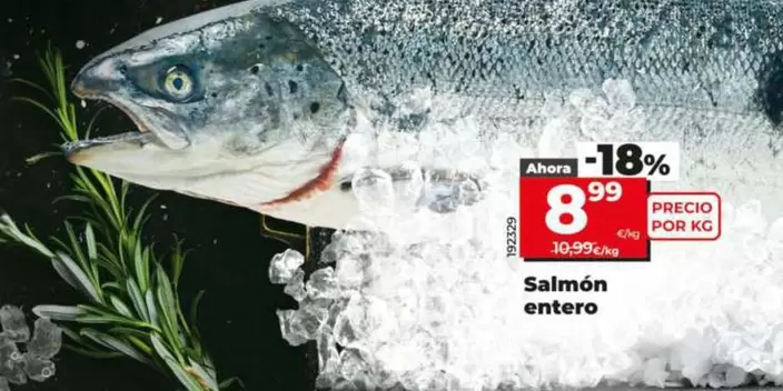 Salmon Entero