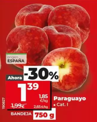 Paraguayo