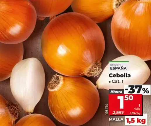 Cebolla