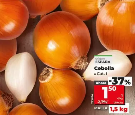 Cebolla