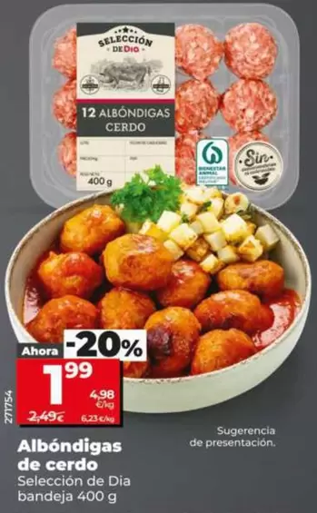 Seleccion De Dia - Albóndigas De Cerdo