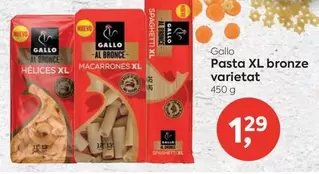 Gallo - Pasta Xl Bronze
