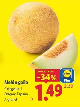 Melón Galia