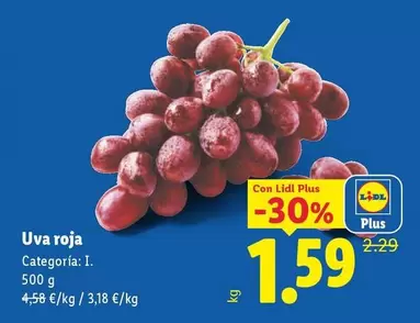 Uva Roja