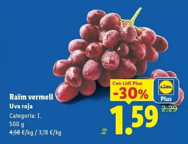 Uva Roja