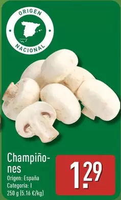 Champino-Nes