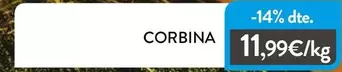 Corbina